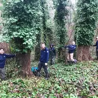 Two pairs of two people stand on either side of large, ivy-covered trees in a forest; the tree trunks have been cleared up to shoulder height of ivy.