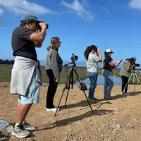 Community science volunteers conducting shore-based sea otter observations
