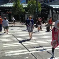 people walking in crosswalk