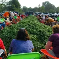 Green Beans to Share with Hungry Neighbors