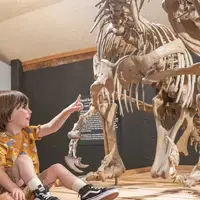 Dinosaur encounter at Morrison Museum