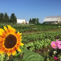 AMI Farm at Augusta Health
