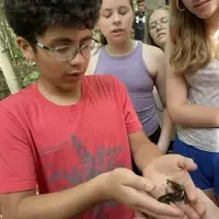 camper meeting an animal