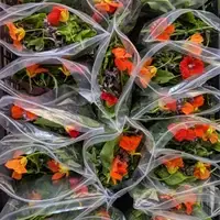 Salad mix with edible flowers.