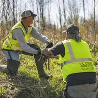 volunteer working together