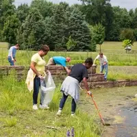 stream cleanup