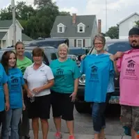 Committees & Board