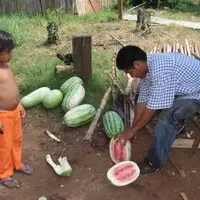 Comunidad Mbya Guaraní