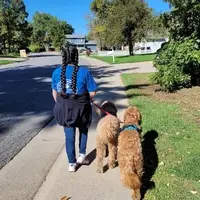 Two dogs on a walk with a dog trainer