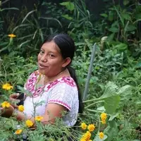 Guatemalan woman explaining farming practices