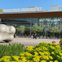 Library in the Summer