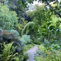 upper path with foilage