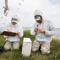 Two students working on shoreline