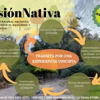 Afiche de presentación Fusión Nativa