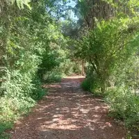 Camino principal del predio
