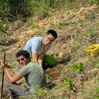Tree Planting