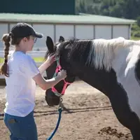 A volunteer adjusting a horses tack.