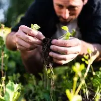 Espacio de Huerta Agroecológica
