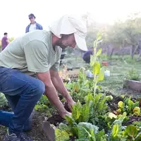Espacio de Huerta Agroecológica