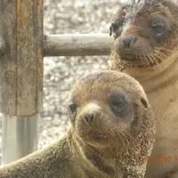 Volunteer in Galapagos Islands