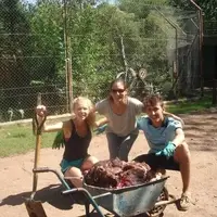 Trabajo del voluntario