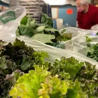 The Giving Room - pantry space - produce
