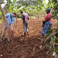 Volunteer Experience in the garden