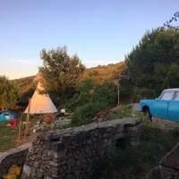 Sunlit view of the back of the Catfarm with white tipi and blue car.