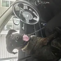 He really wanted to drive