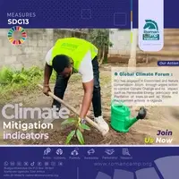 Climate change adaptation and mitigation