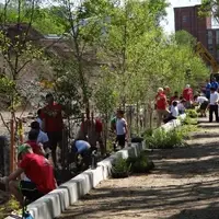 Adult and Youth Volunteers Plant in a Swale