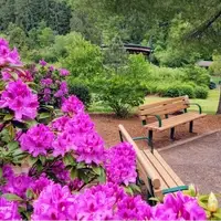 Stella Olsen Memorial Park