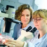 Examining samples under a mircroscope