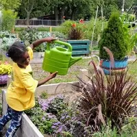 Urban Farming