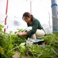 Centre for Environmental Policy