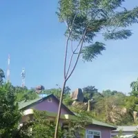 Volunteers House