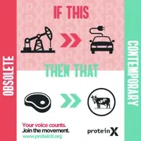 Animal-free food.