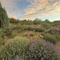 Sunset at the Santa Fe Botanical Garden