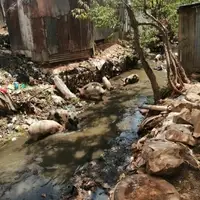 River Nairobi through the slums