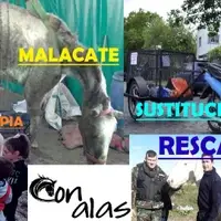 NUESTROS PROYECTOS