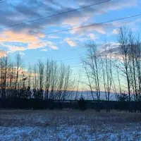 The Saskatoon Afforestation Areas