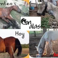 Antes y despues