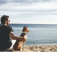 man on beach with dog. contemplative.