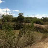 Water collection improvment