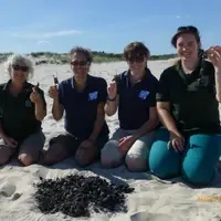 four researchers holding up egg casings