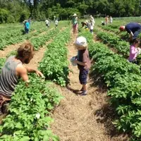 Field Volunteers
