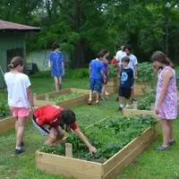 Working in the gan (garden)