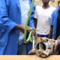 Training manual drillers