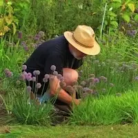 Volunteer at the Santa Fe Botanical Garden