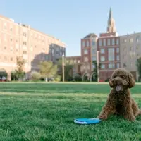 USC Village Great Lawn